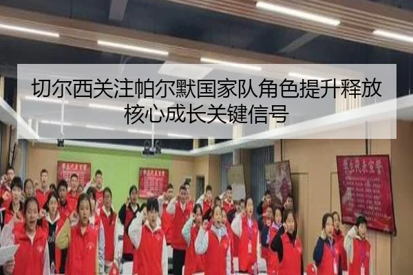 切尔西关注帕尔默国家队角色提升释放核心成长关键信号