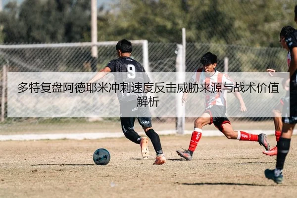 img_1783172122922_2301_1_488.jpg